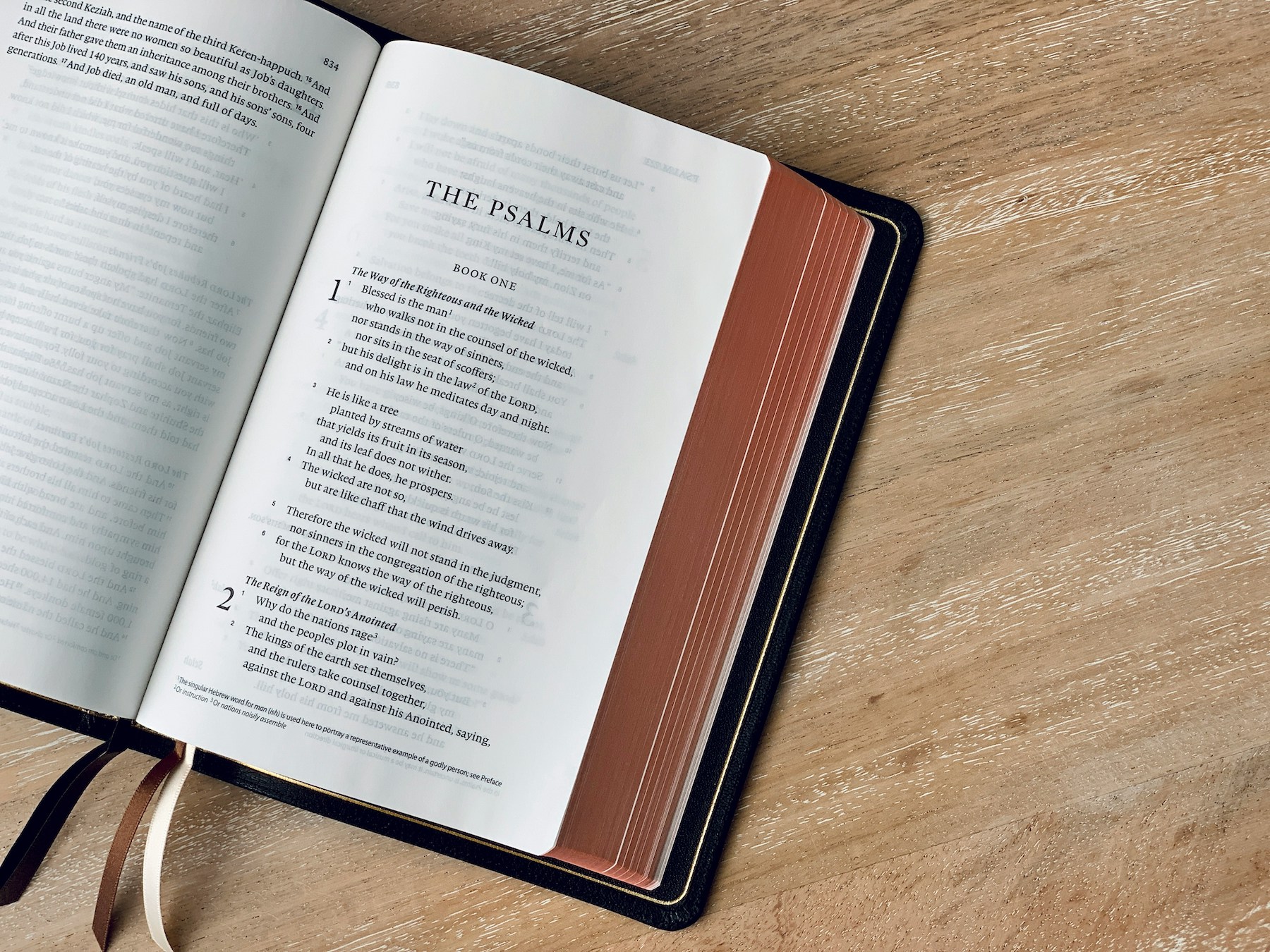 Reading the psalms as a book southern equip