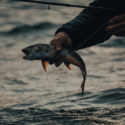 A fisherman holding a fish in his hand that he just caught