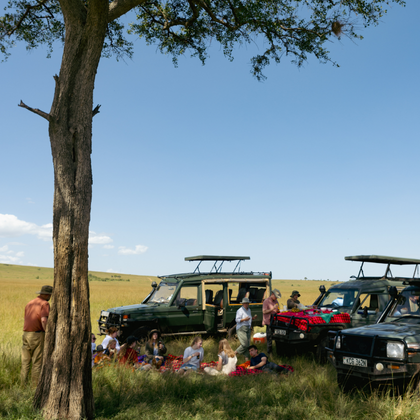 People in field having picnic